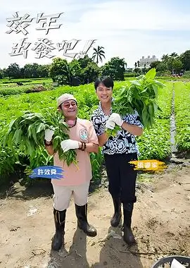 城市食堂 综艺节目全集在线观看
